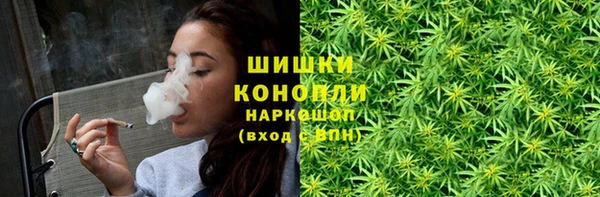 гидропоника Зеленодольск