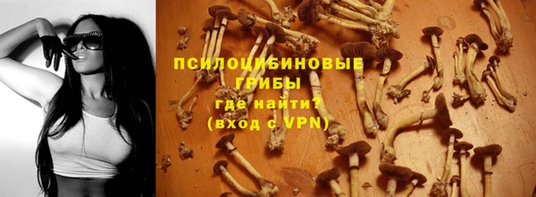дурь Зеленокумск
